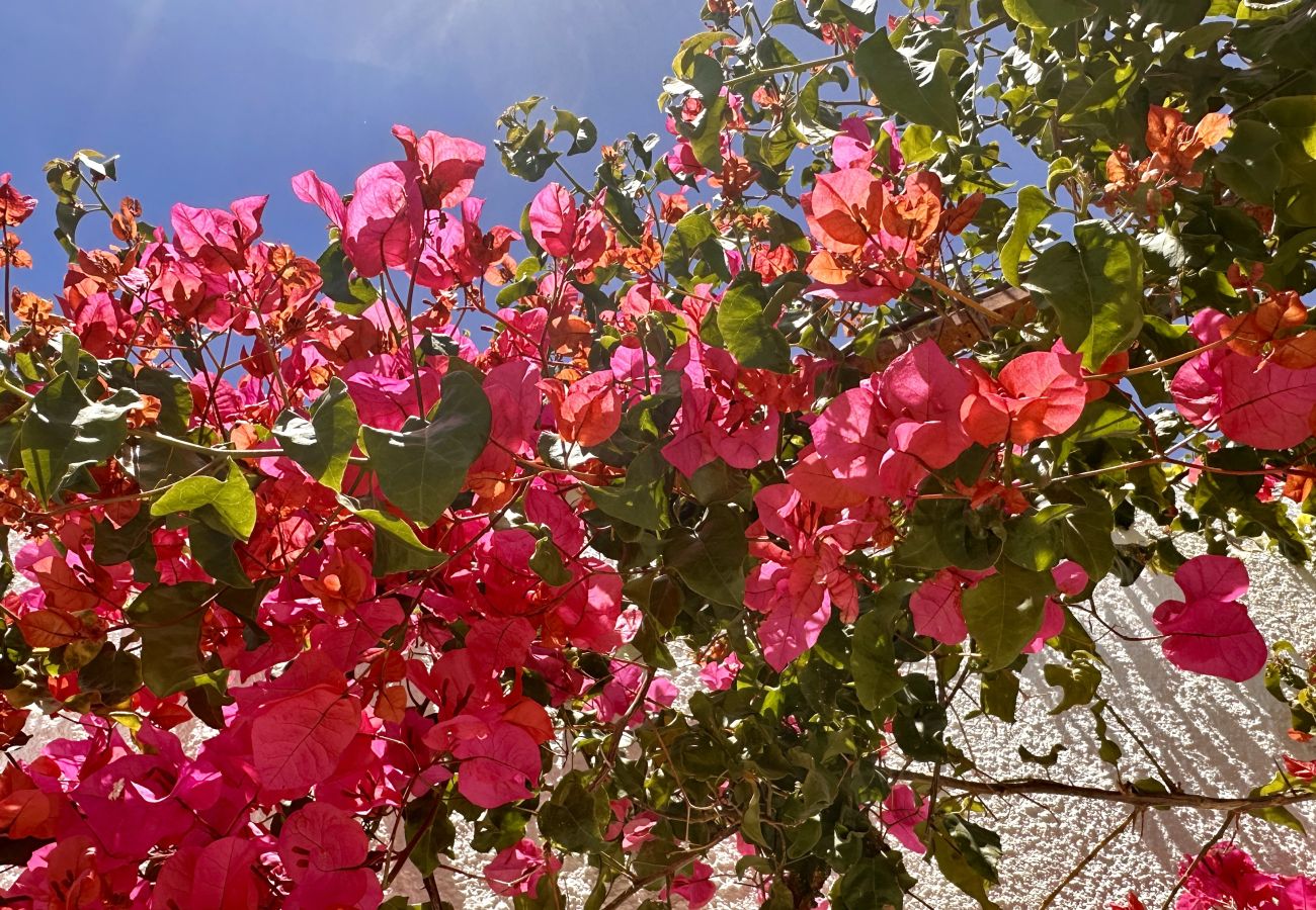 Villa em Albufeira - Buganv&iacute;lia by Check-in Portugal