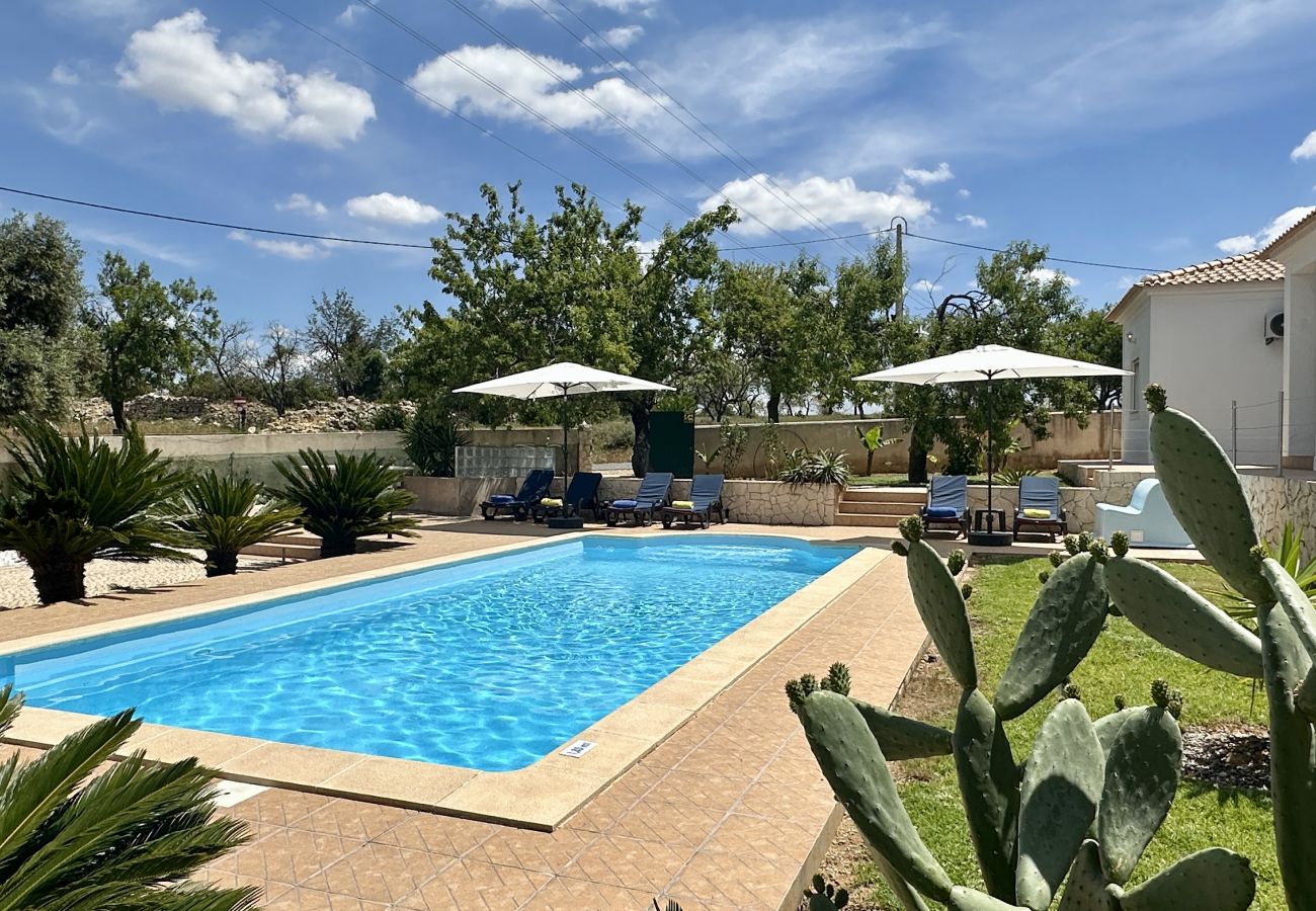 Villa em Tunes - Casa do Campo by Check-in Portugal