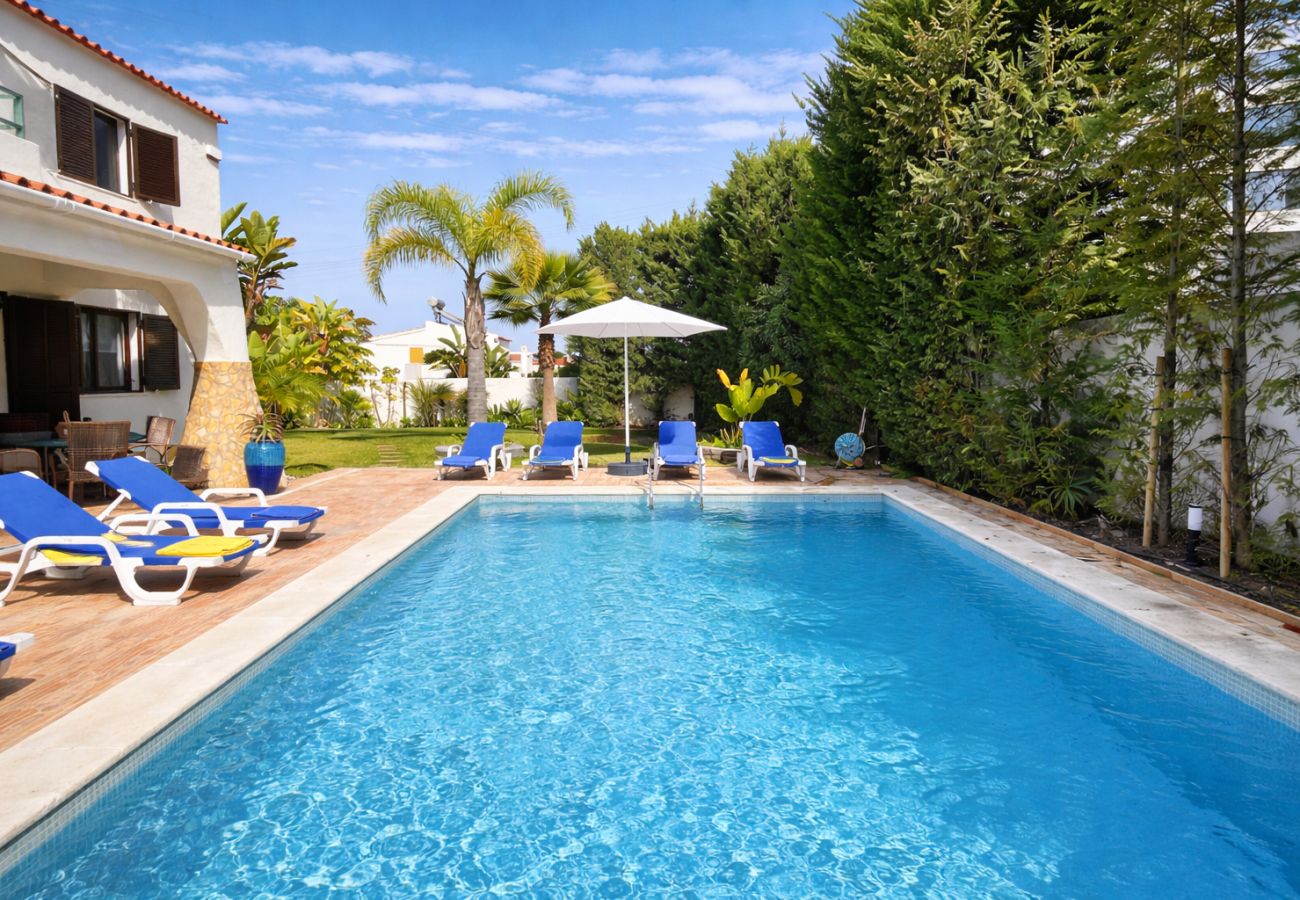 Private pool in spacious villa in Albufeira